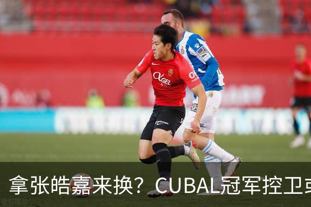 拿张皓嘉来换？CUBAL冠军控卫或被广东队看中，这可是加强版徐杰